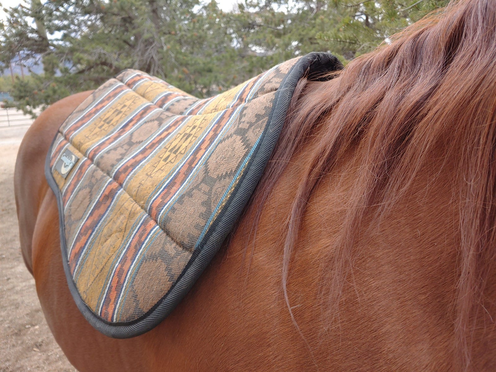 Julie Goodnight Cascade Saddle Pad 6