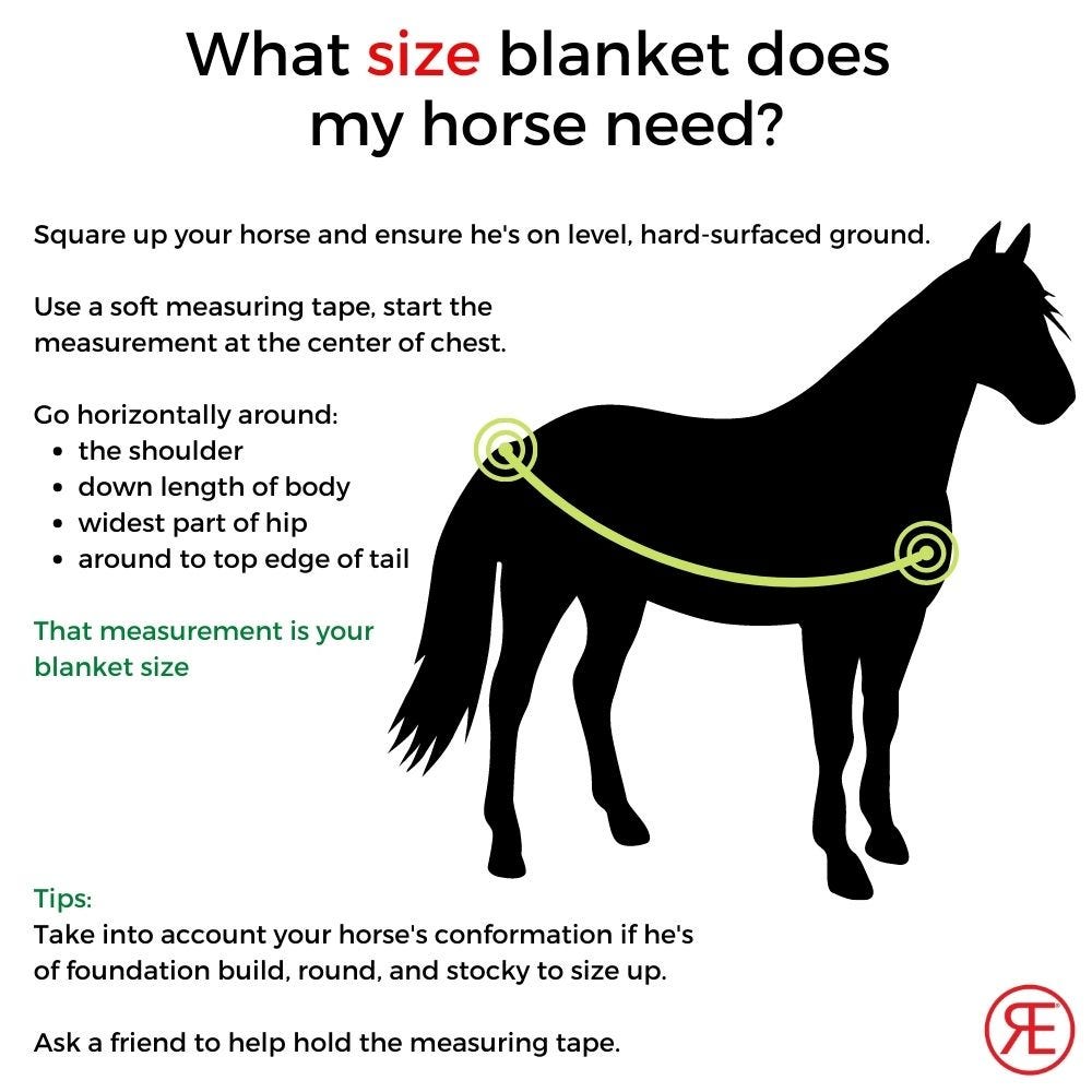 Classic Turnout Winter Blanket - 2022 Colors 8