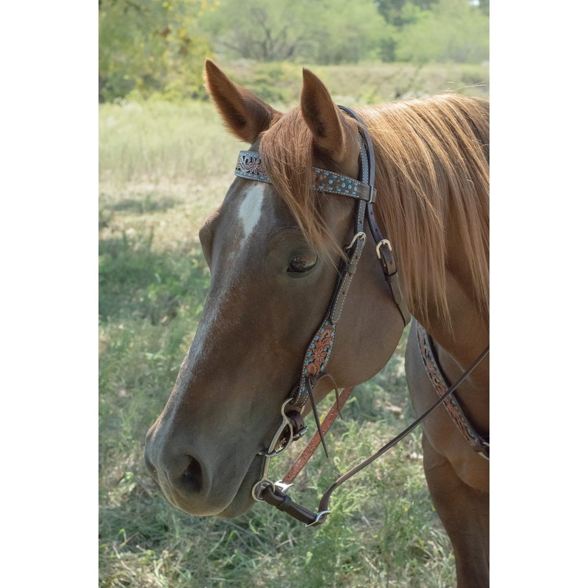 Bronco Blue Texas Flower Browband Headstall 1
