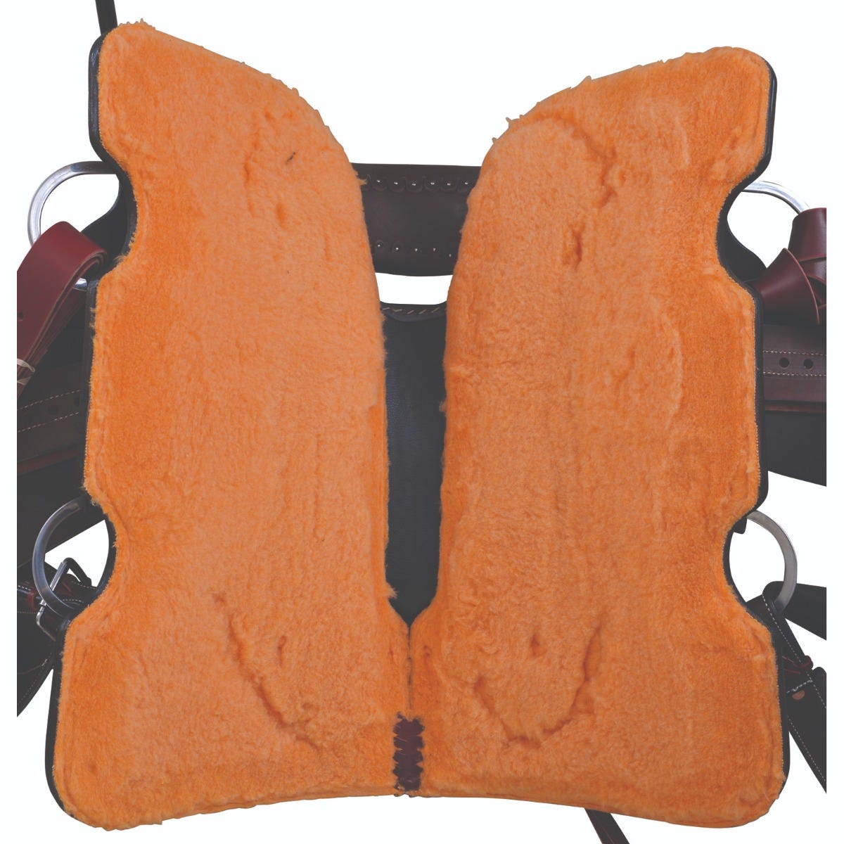 2783 Mesquite Roper 4