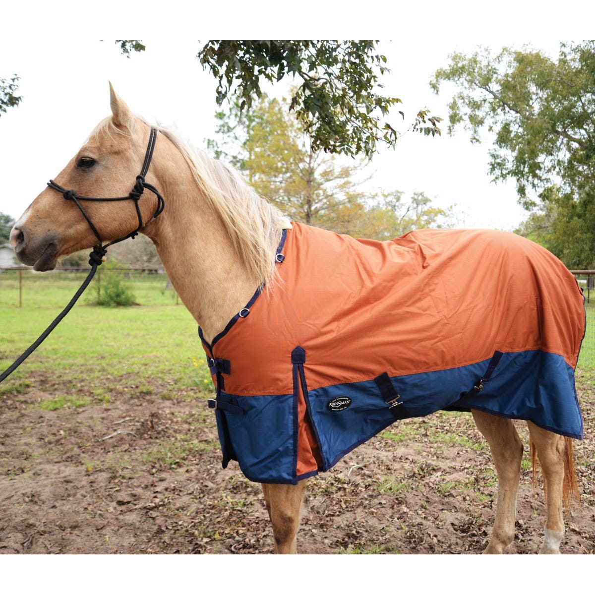 Classic Turnout Winter Blanket - 2022 Colors 6