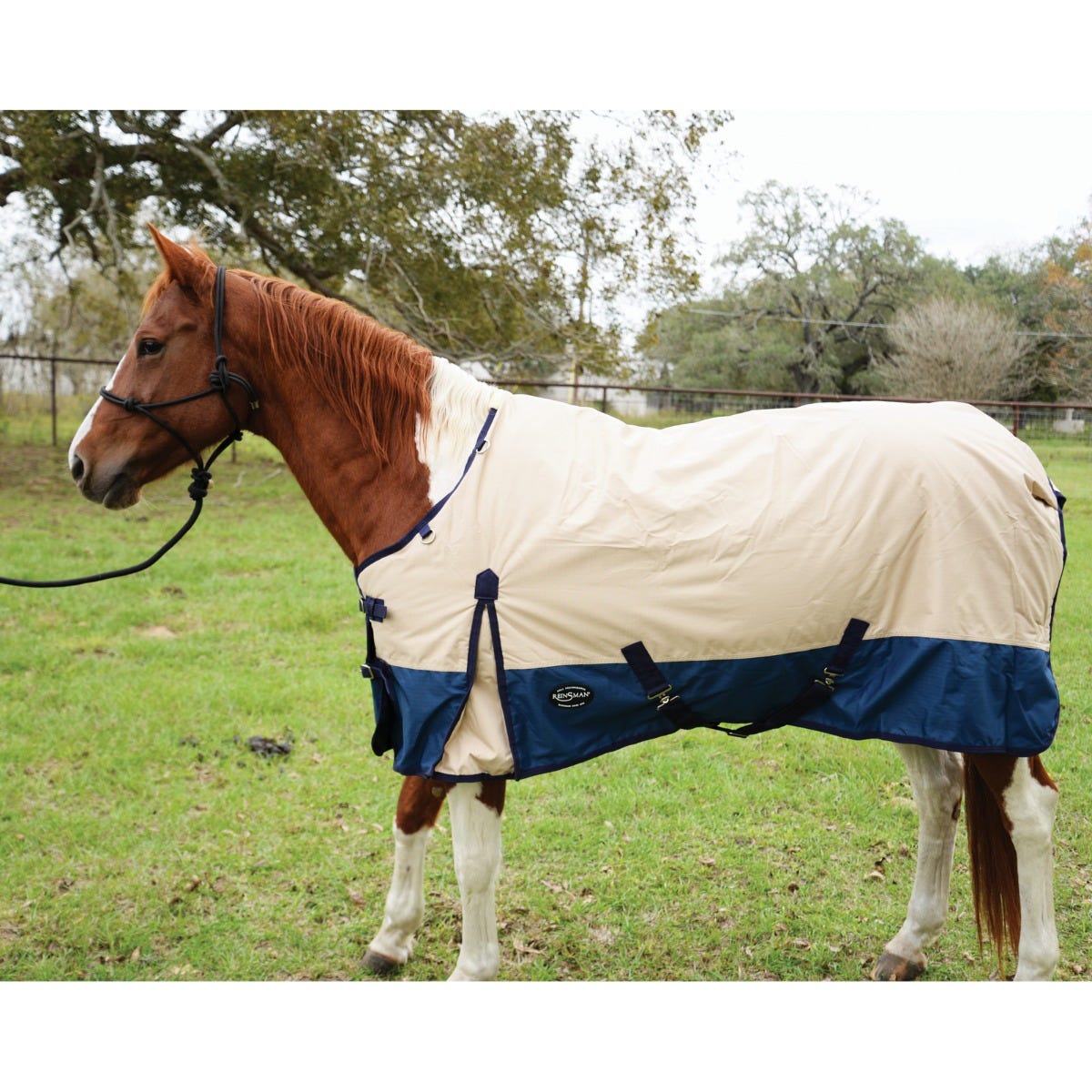 Classic Turnout Winter Blanket - 2022 Colors 3