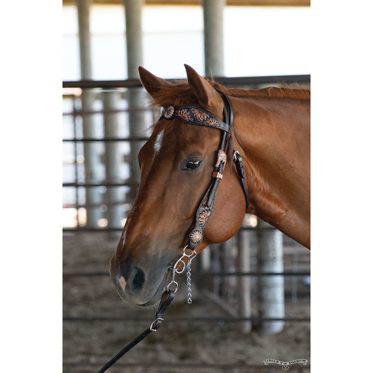Vintage Sunflower Browband Headstall 1